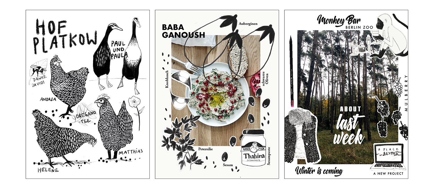 00 Anne Braun Grafikdesign Illustrationen-05 00 Anne Braun Grafikdesign Illustrationen-05