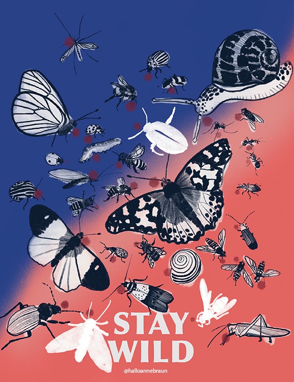 halloannebraun_Potsdam_Illustration_Grafikdesign_Nabu halloannebraun_Potsdam_Illustration_Grafikdesign_Nabu