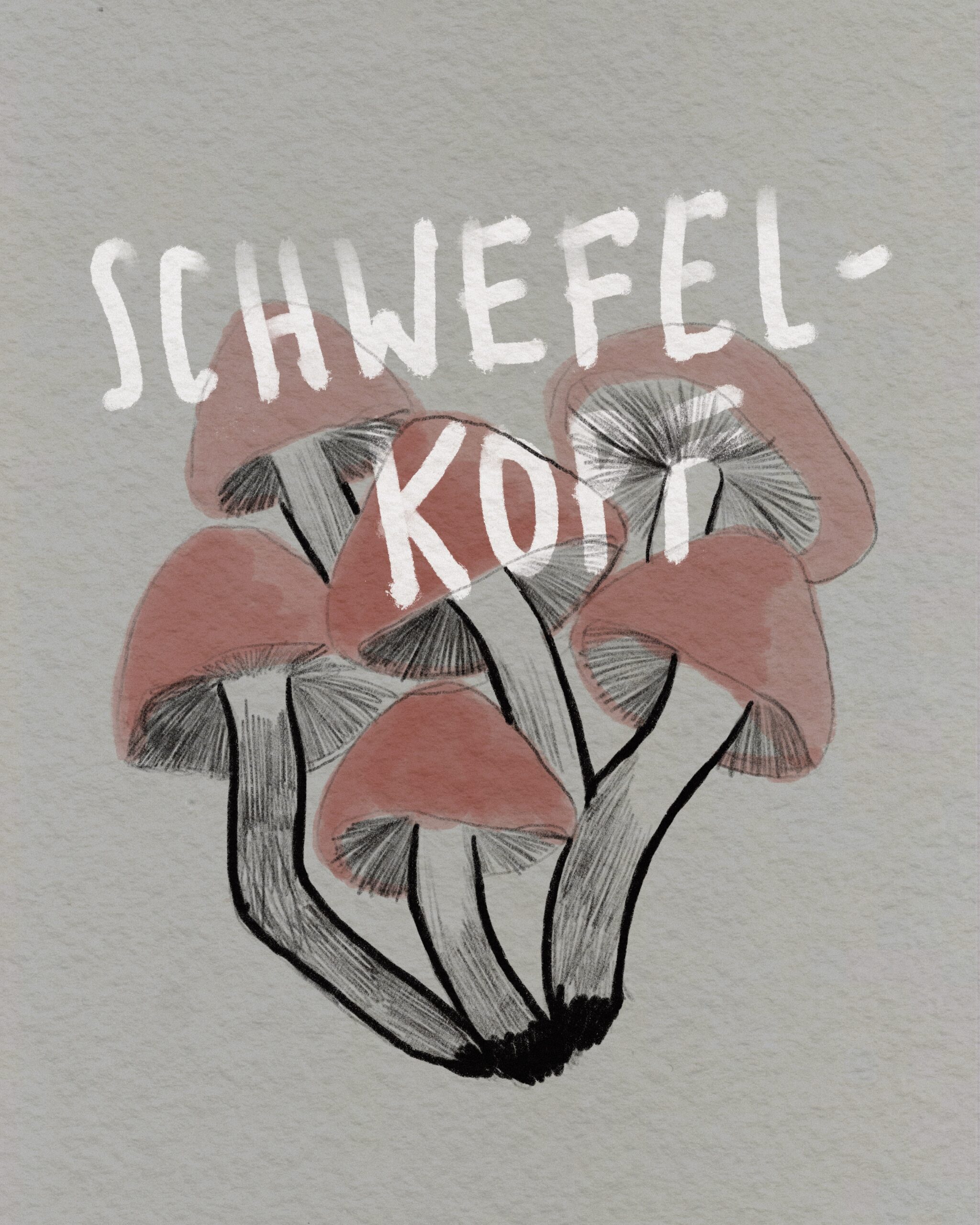 AnneBraun_Illustration_Grafikdesign_Potsdam1 AnneBraun_Illustration_Grafikdesign_Potsdam1