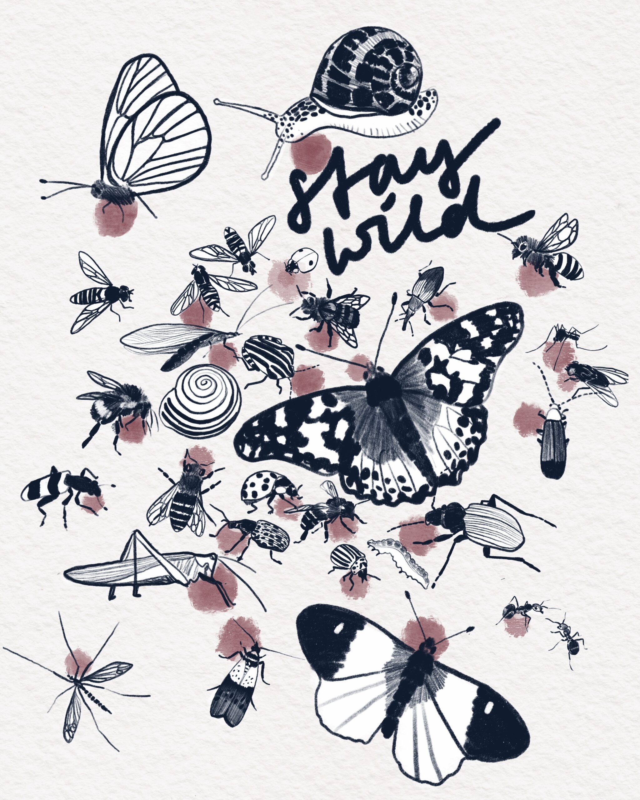 AnneBraun_Insekten_Illustration AnneBraun_Insekten_Illustration